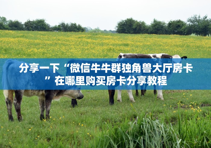 分享一下“微信牛牛群独角兽大厅房卡”在哪里购买房卡分享教程